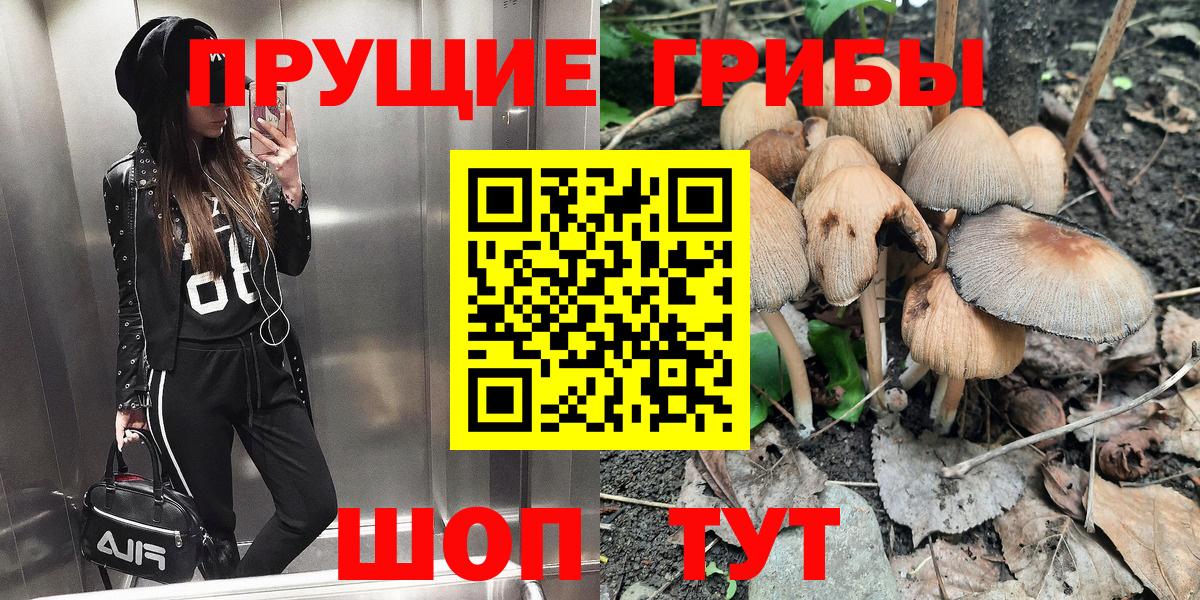 Галлюциногенные грибы Magic Shrooms Заводоуковск