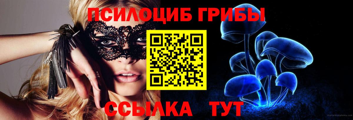 Галлюциногенные грибы Cubensis  Вход с VPN  Заводоуковск  Псилоцибиновые грибы Magic Shrooms 